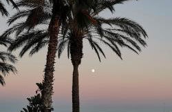 Encantador bajo en Málaga - Photo 39