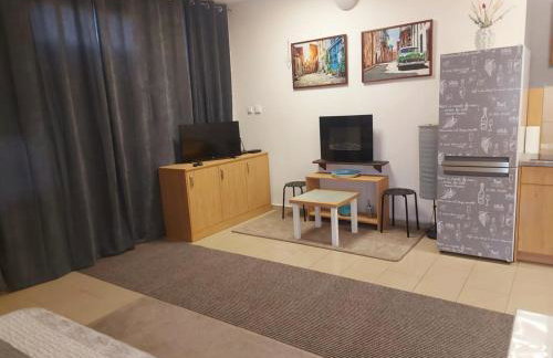 Samodzielny domek Studio - 35m2 centrum Ciechanów - Foto 5