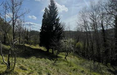 il casale di Bruno e Pina - Foto 34