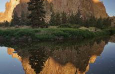 Madras Oak House - Foto 29