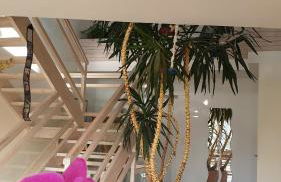 Maison d'architecte proche de Caen - Foto 4