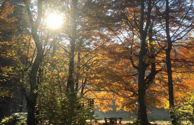 Modern Holiday Home in Hessen - Foto 40