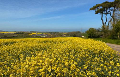 pontons view residence - Photo 31