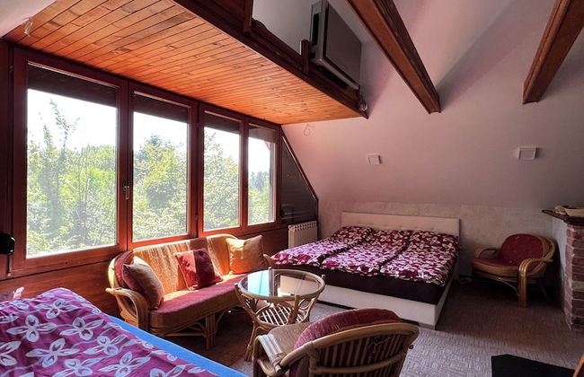 Best of Ilidza Villa - Foto 4