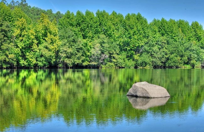 Holiday Home in Ponte de Lima With Pool - Foto 33