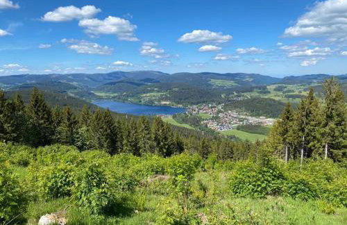 Gästehaus Steiert Fewo Kuhbergblick - Foto 37