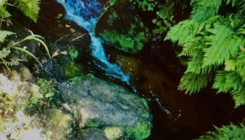 Maison Yaudet à 50 M DE LA PLAGE - Foto 5