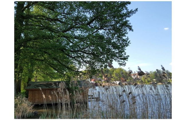 Large Haussee Modern Retreat - Foto 3