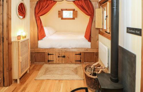 Bracken Fern - Photo 11