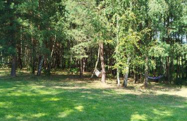 Dom Wakacyjny Brzozowy Gaj Bieszczady - Foto 61