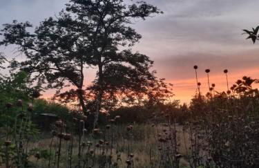 L'Oustalet classé 2 étoiles - Foto 16