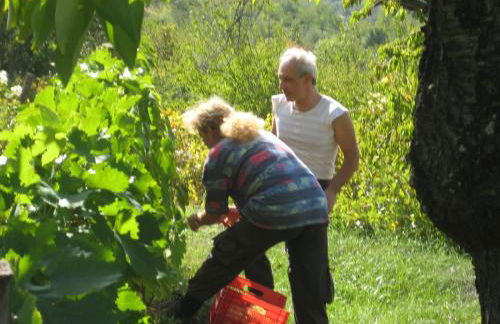 Giardino di Potentino - Foto 34