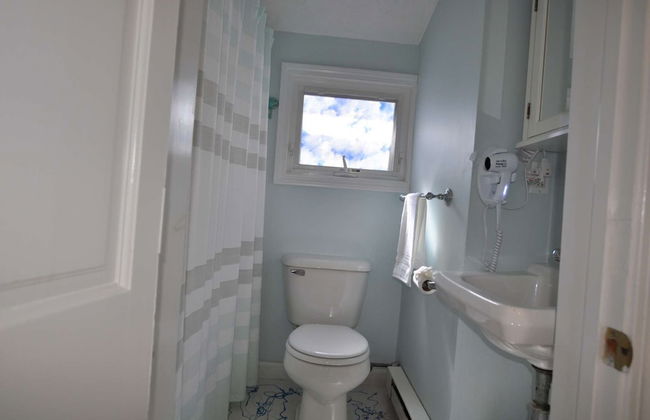 Baby Love Shack - Foto 12