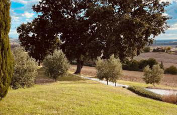 Ritorno alla Natura - Foto 78