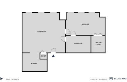 Loop 1BR w Gym Doorman nr L Parks CHI-302 - Foto 3