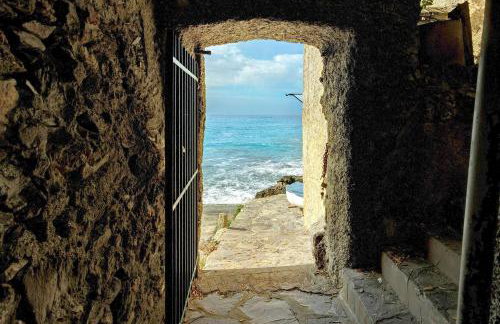 Lo scoglio - Photo 17