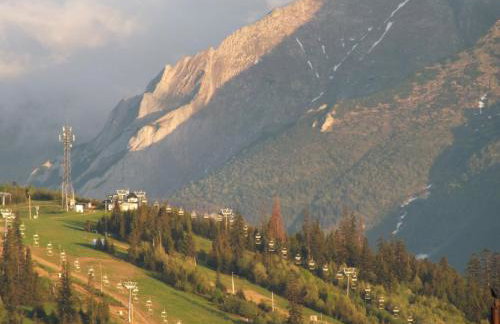 Apartamenty w Jurgowie Świstokówka - Foto 66