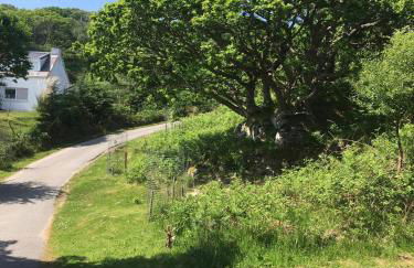 Suilven view - Foto 20