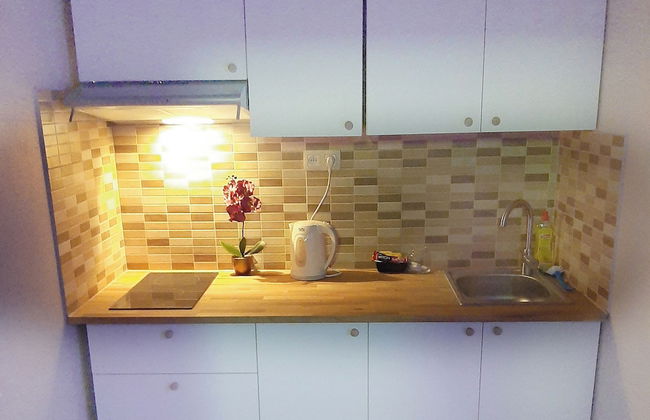 Unique Apartment In Historic Mansion - Photo 14