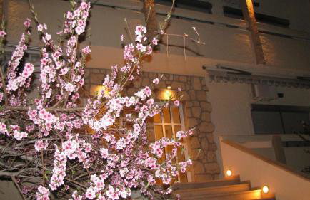 Villa Kokkinos - Photo 4