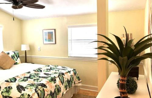 2 Bedroom Apt Overlooking Dunedin Town Square NO KIDS, NO PETS - Photo 16
