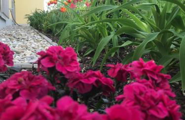 Apparthotel Ampertal - Foto 19