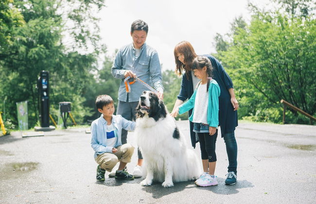 Tateshina Wanwan Paradise Cottage - Foto 23