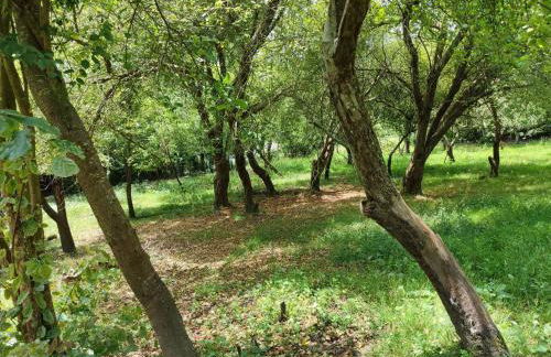 ELEXBURU LANDA Apartamentos Turisticos Rurales - Foto 42