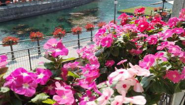 un balcone sul lago - Foto 2
