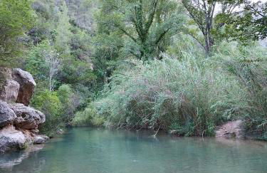 kats chulilla - Foto 18