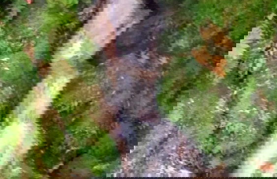 Cozy Vacation Rental in Ponta Delgada - Ideal for Relaxing Getaways - Foto 24