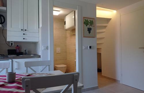 Heritage Apartments Kyra & Fox in Pitve, Hvar - Photo 33