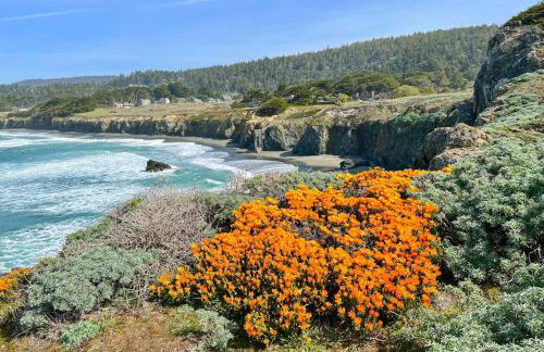 Wild Meadow - Photo 15