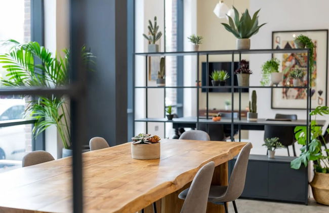 Student Only Zinc Quarter - Foto 2