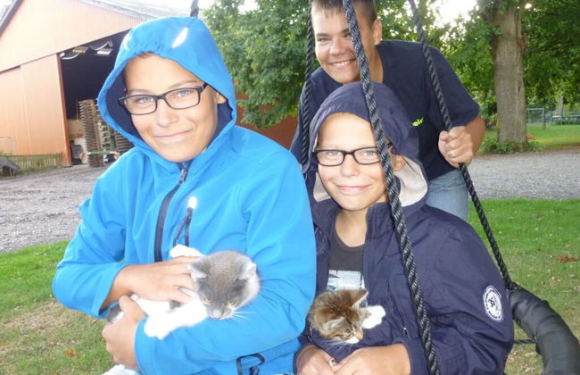 Farm Ferienhof Albert - Photo 21