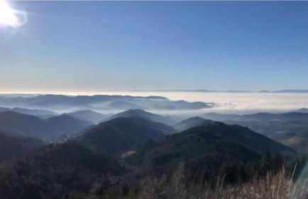Ferienwohnungen Golla-lang - Foto 34