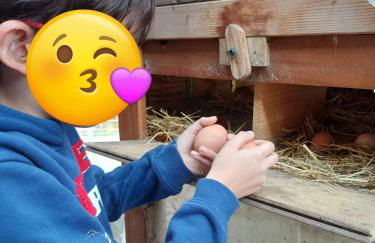 Encanto en el Moncayo - Photo 15