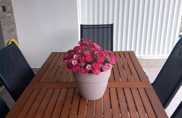 Silvi house - Photo 29