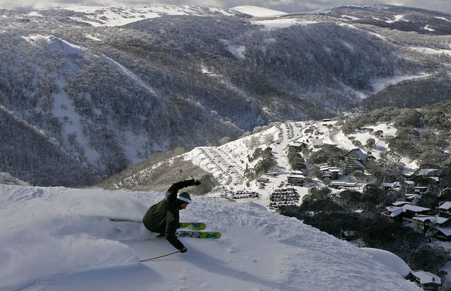 Elk at Falls - Photo 55