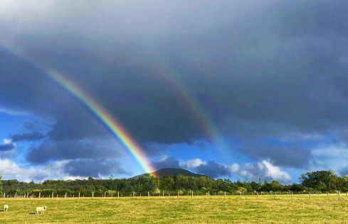 Dove Cottage - Foto 28
