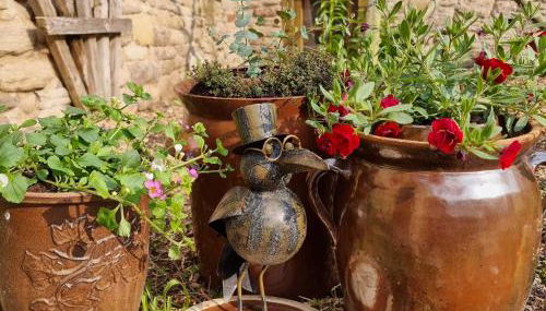 Pension Stadtmühle Allstedt - Foto 5