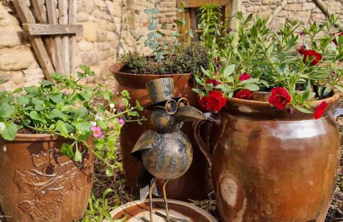 Pension Stadtmühle Allstedt - Foto 5