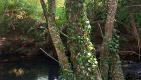 Casa da Volta - Alentejo - S. Julião - Foto 2