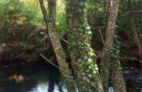 Casa da Volta - Alentejo - S. Julião - Foto 2