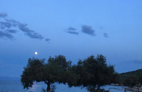 Eratous Seaside House - Foto 40