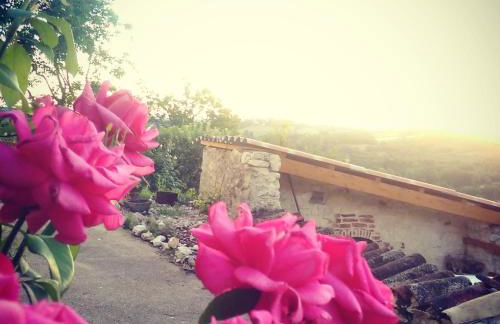 Le Mas des Papillons - Foto 33