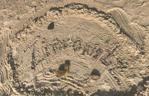 Ferienwohnung Goa auf Usedom - Foto 8