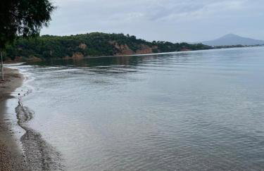 Cosy spot near the beach only 45 min from Athens - Foto 21