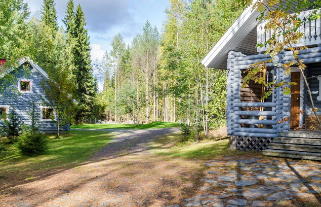 Metsätähti - Foto 22