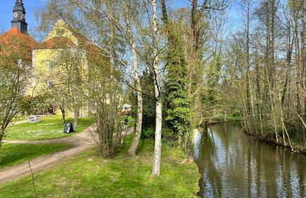 Ferienhaus im Wald, am Briesener See - Foto 14